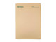 TIDY FILES A4 Economy Confidential Medical File - Pack of 25
