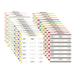 TIDY FILES Numeric Labels Rainbow - Pack of 19 (19 Colours) TIDY FILES Numeric Labels Rainbow - Pack of 19 (19 Colours)