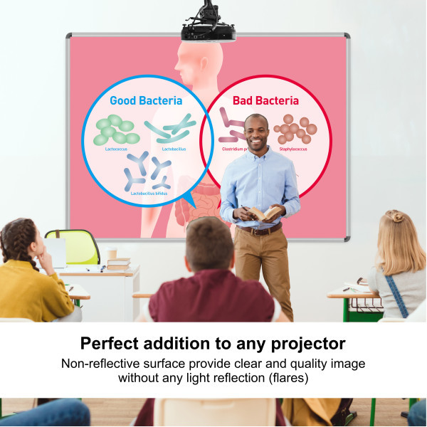 PARROT Non-Reflective Board For Interactive System - 1620 x 1220mm PARROT Non-Reflective Board For Interactive System - 1620 x 1220mm