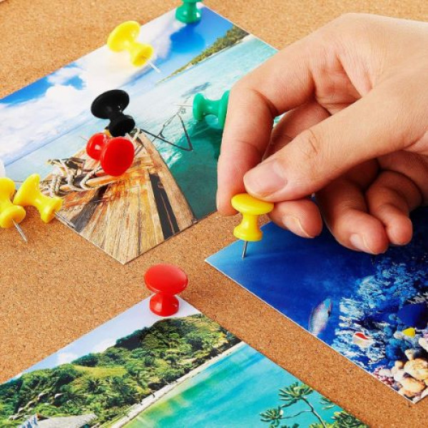 PARROT Giant Thumb Tack (15 Piece)