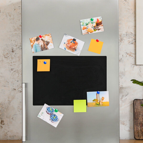 PARROT Moulded Magnets 20mm (6 Per Card)