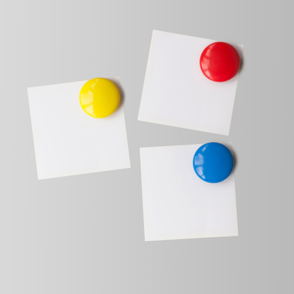 PARROT Moulded Magnets 40mm (4 Per Card)