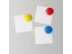 PARROT Moulded Magnets 40mm (4 Per Card)