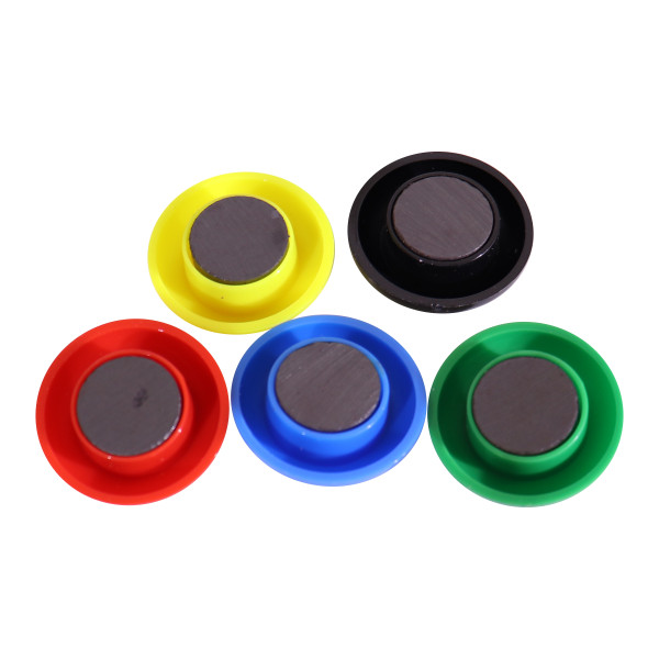 PARROT Moulded Magnets 30mm (5 Per Card)