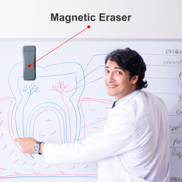PARROT Eraser Magnetic Whiteboard 145 X 55mm
