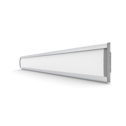 PARROT Sign Frame 50 x 297mm