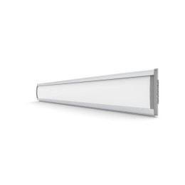 PARROT Sign Frame 50 x 300mm