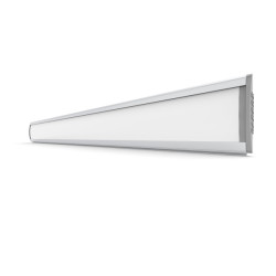 PARROT Sign Frame 50 x 450mm