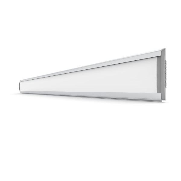 PARROT Sign Frame 50 x 450mm