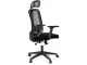 Lily High Back Chair - Black Lily High Back Chair - Black