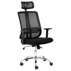 Lenny High Back Ergonomic Office Chair Chrome Base Black Lenny High Back Ergonomic Office Chair in black with headrest, mesh backrest, armrests and chrome caster base