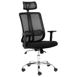 Lenny High Back Ergonomic Office Chair in black with headrest, mesh backrest, armrests and chrome caster base