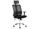 Lenny High Back Ergonomic Office Chair Chrome Base Black Lenny High Back Ergonomic Office Chair in black with headrest, mesh backrest, armrests and chrome caster base