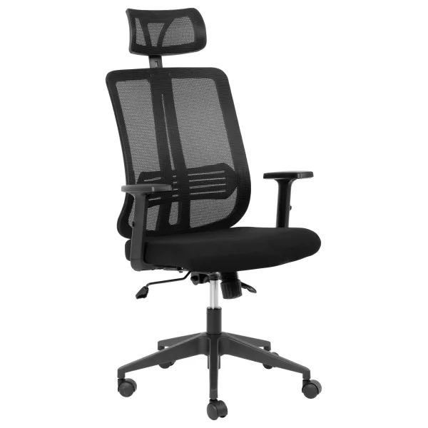 Lenny High Back Ergonomic Office Chair – Black