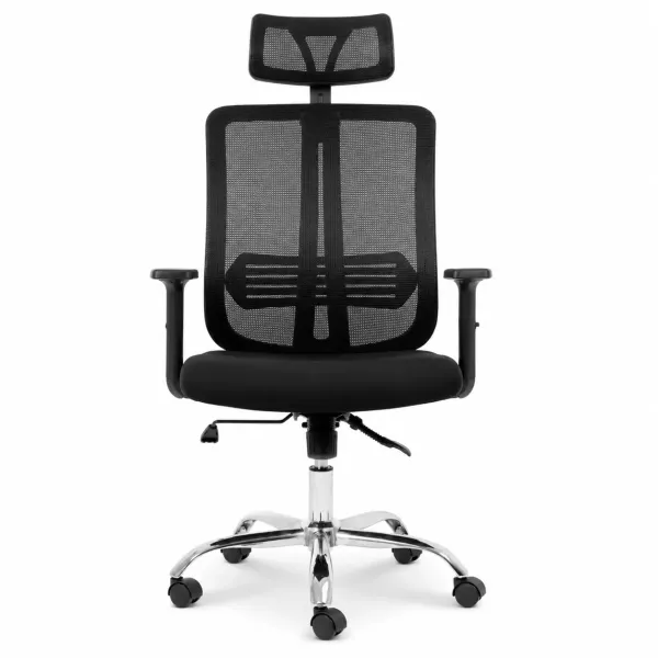 Lenny High Back Ergonomic Office Chair Chrome Base Black Lenny High Back Ergonomic Office Chair in black with headrest, mesh backrest, armrests and chrome caster base
