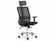 Lenny High Back Ergonomic Office Chair Chrome Base Black Lenny High Back Ergonomic Office Chair in black with headrest, mesh backrest, armrests and chrome caster base