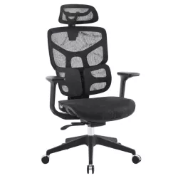 JANKZ Body Balance Ergonomic Chair - Black JANKZ Body Balance Ergonomic Chair - Black