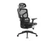 JANKZ Body Balance Ergonomic Chair - Black