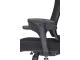 Jankz Human Ergo High Back Chair - Black