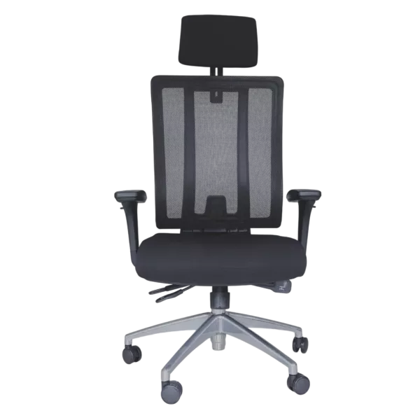 Jankz Human Ergo High Back Chair - Black