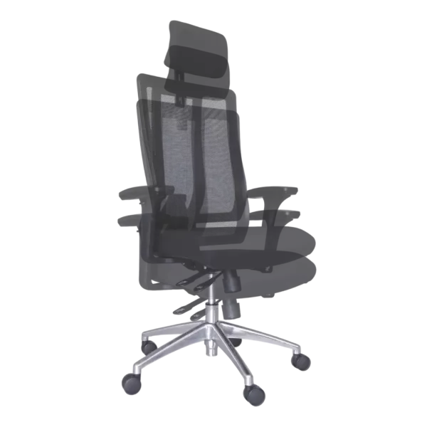 Jankz Human Ergo High Back Chair - Black
