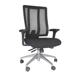 Jankz Human Ergo Medium Back Chair - Black Jankz Human Ergo Medium Back Chair - Black