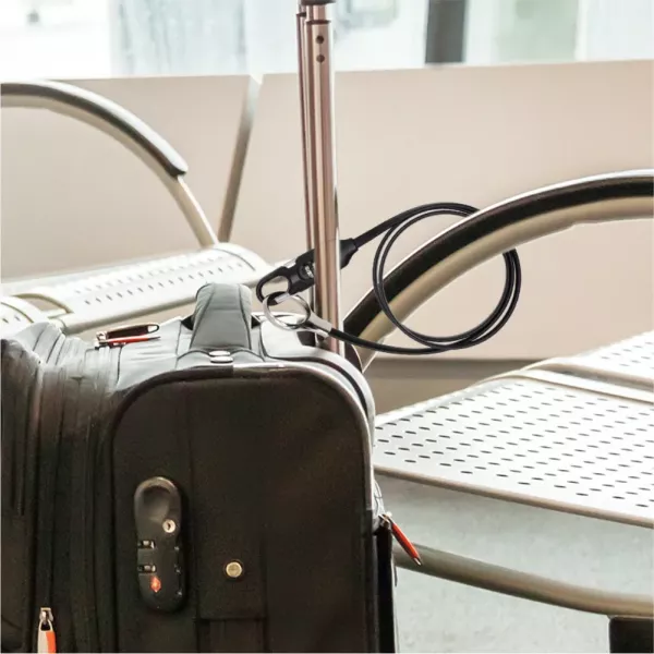 Parrot Double Loop Lock Parrot AL6300 double loop lock extended cable view