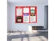 PARROT Display Case Pinning Board 1500 X 1200mm - Red PARROT Display Case Pinning Board 1500 X 1200mm - Red