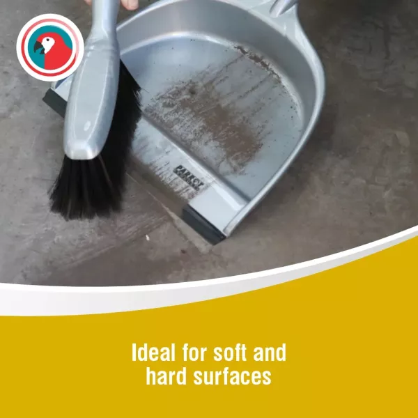 PARROT Dustpan and Brush