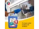 Parrot Window & Glass Cleaner - 5 Litre