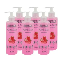 Parrot Antibacterial Hand Soap Strawberry 250 ml - 6 Pack Parrot Antibacterial Hand Soap Strawberry 250 ml - 6 Pack