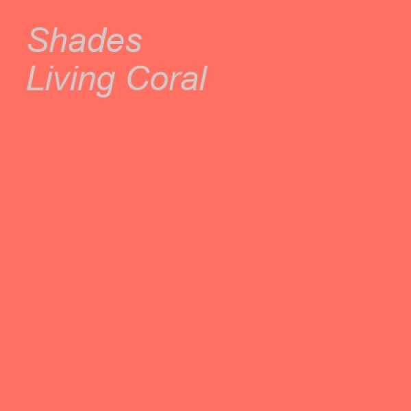 RBE Shades Living Coral Board A4 160gsm Pack of 10 Sheets