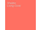 RBE Shades Living Coral Board A4 160gsm Pack of 10 Sheets