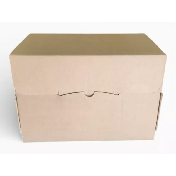 TIDY FILES Folio Archive Container No Clip Kraft TIDY FILES Folio Archive Container No Clip Kraft