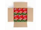 PRITT Glue Stick 43g Dispenser Box 24 Pack Open Carton Angled View PRITT Glue Stick 43g Dispenser Box 24 Pack shown inside open carton at an angle