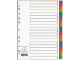 MEECO A4 Plastic 20-Tab Divider - Not Printed