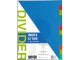 MEECO A4 Plastic 12-Tab Divider - Not Printed