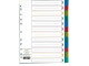 MEECO A4 Plastic 12-Tab Divider - Not Printed