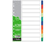 TREELINE A4 Divider PVC 10 Tab - Not Printed TREELINE A4 Divider PVC 10 Tab - Not Printed