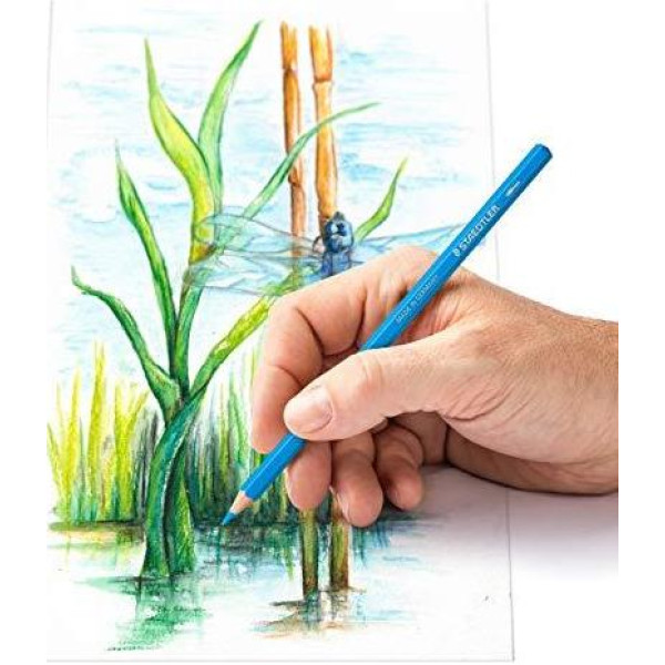 STAEDTLER Water Colour Pencils - 12's