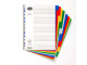 BANTEX A4 PP 10-Tab Index Dividers - Not Printed