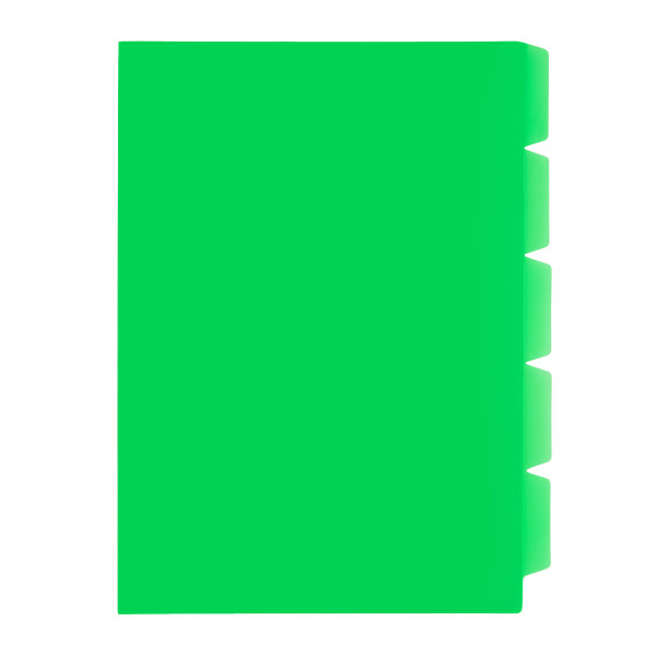MEECO A4 Secretarial Folder with 5 Tabs - Green MEECO A4 Secretarial Folder with 5 Tabs - Green