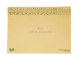 TIDY FILES A4 Top Retrieval Heavy Duty File 250gsm - Pack of 25