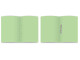 TREELINE Pastel Board Folders 160gsm Foolscap Green