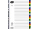 BANTEX A4 PP 20-Tab Index Dividers - Not Printed