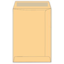 LEO - C3 Envelopes Manila No-Window Gummed Pocket (Box 250)