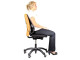 FELLOWES Professional Series Mesh Back Support FELLOWES Professional Series Mesh Back Support