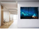 PARROT Glass Board Designer Series Magnetic Printed - 2400 x 1200mm