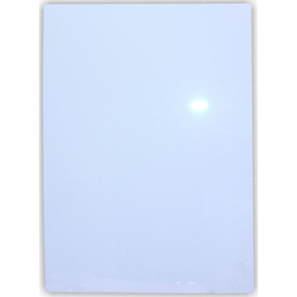 PARROT Poster Frame Clear Media Cover A2 PARROT Poster Frame Clear Media Cover A2