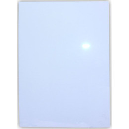 PARROT Poster Frame Clear Media Cover A4